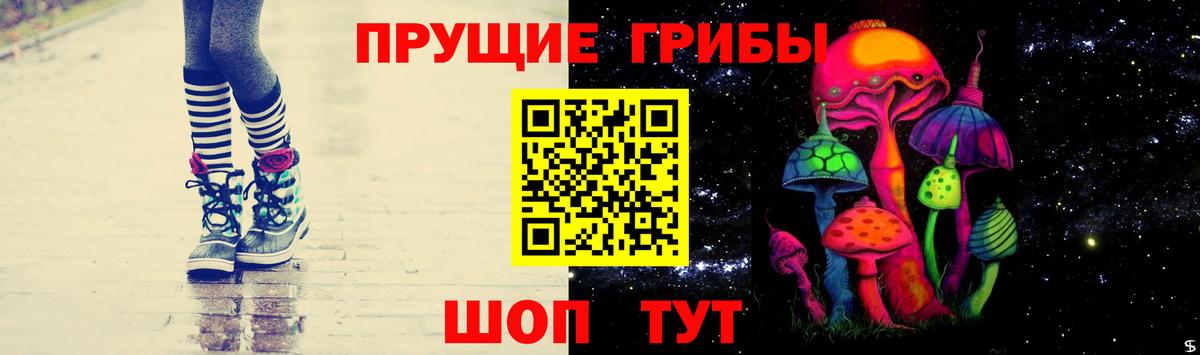 Псилоцибиновые грибы GOLDEN TEACHER Качканар