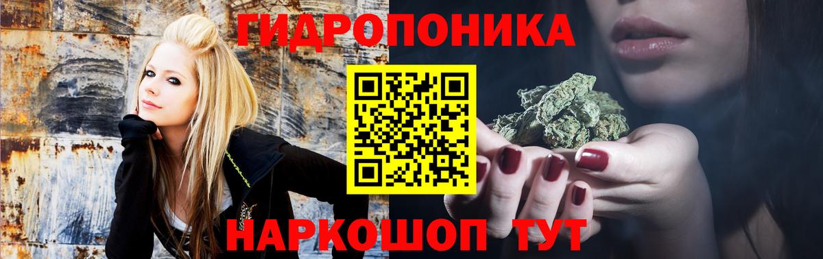 Конопля OG Kush  Вход с VPN  Каннабис индика  Бошки Шишки Amnesia  МАРИХУАНА конопля  Качканар 